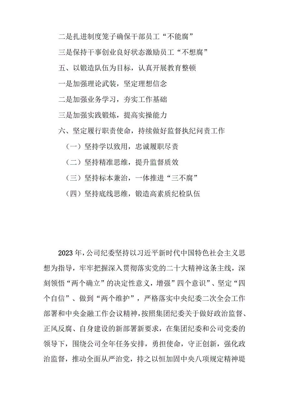 公司纪委2023年工作总结和2024年工作计划.docx_第2页