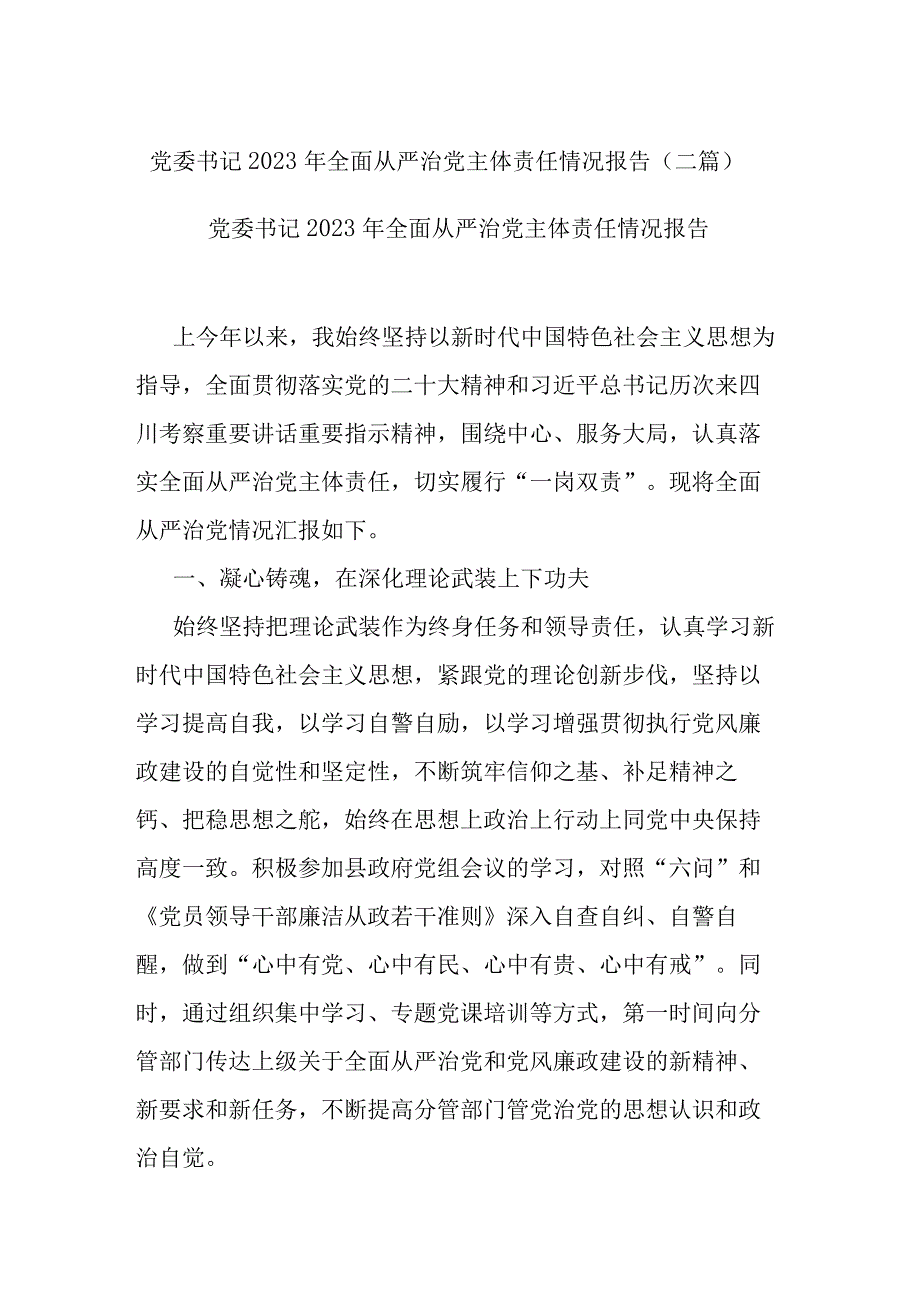 党委书记2023年全面从严治党主体责任情况报告(二篇).docx_第1页