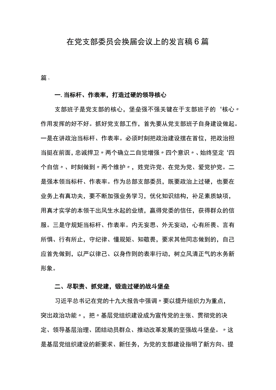 在党支部委员会换届会议上的发言稿6篇.docx_第1页