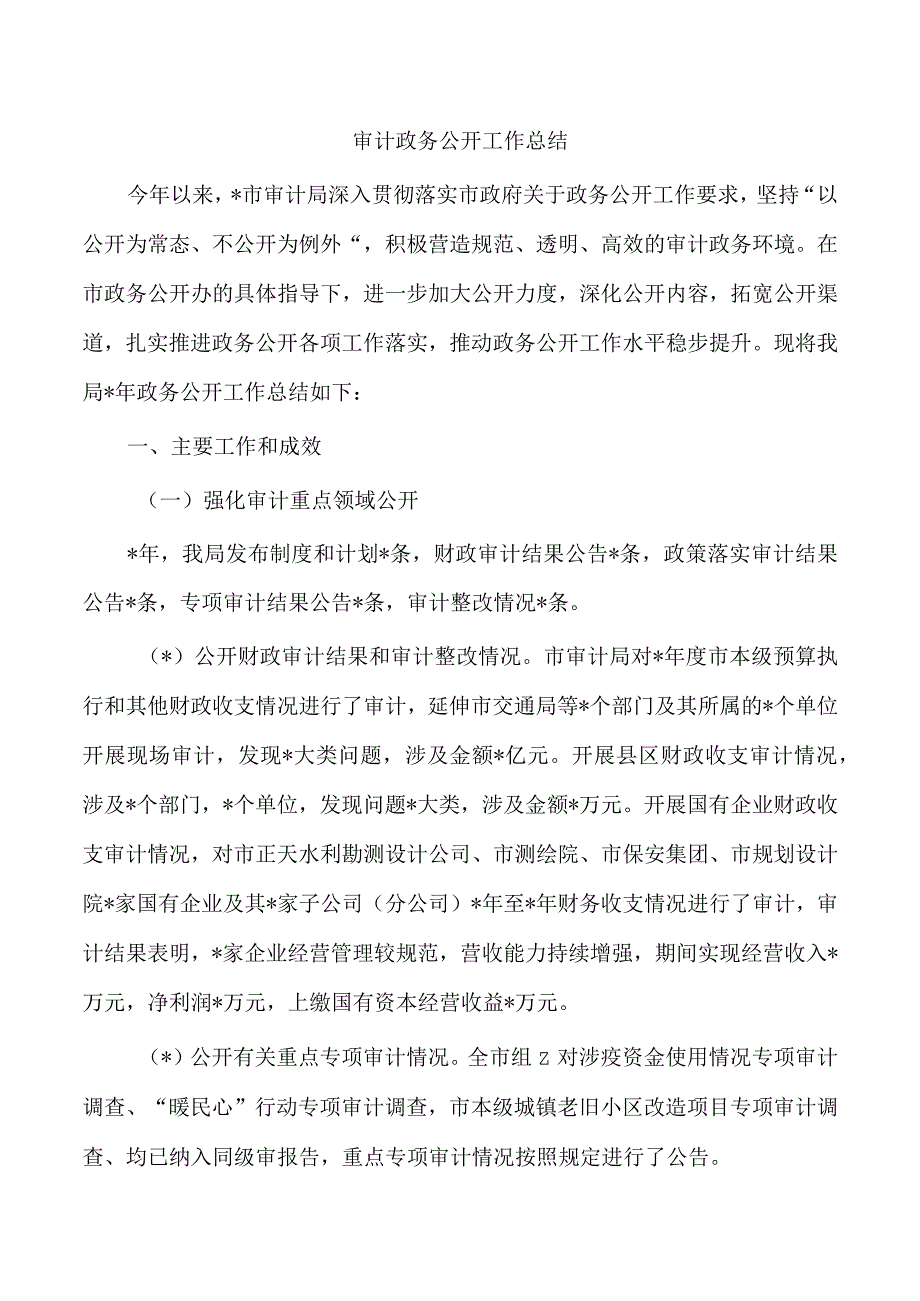 审计政务公开工作总结.docx_第1页