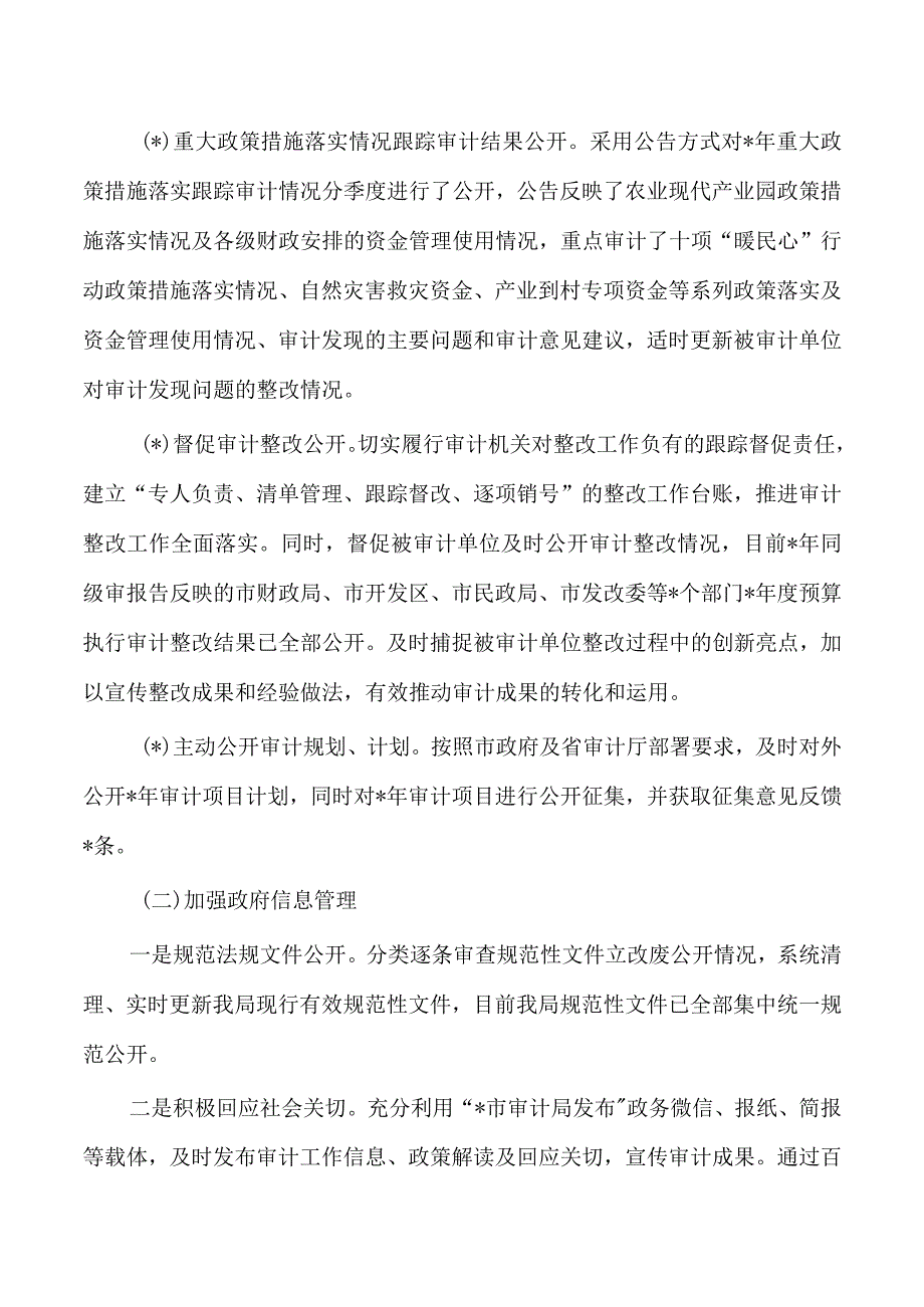 审计政务公开工作总结.docx_第2页