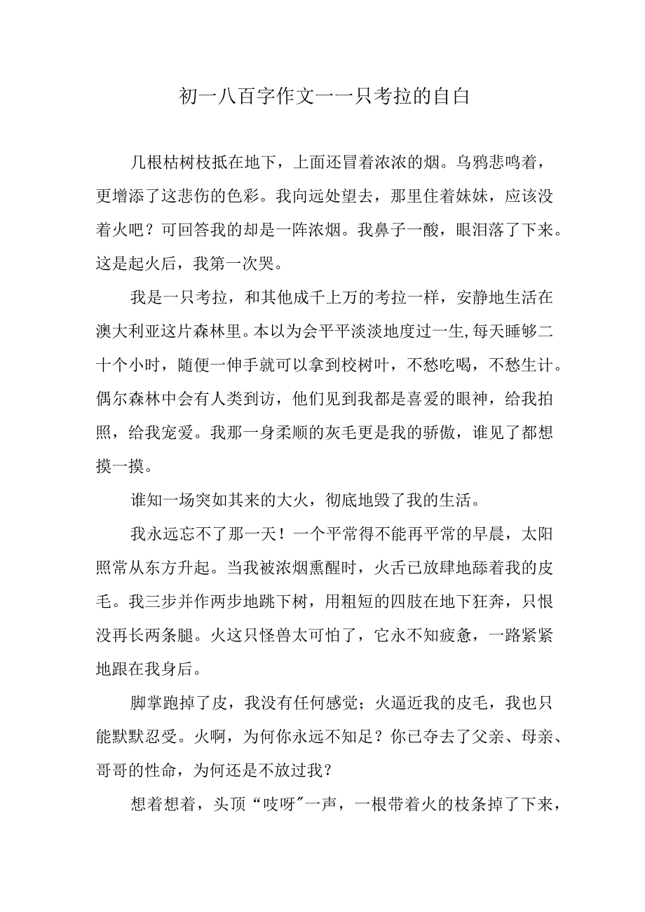 初一八百字作文—一只考拉的自白.docx_第1页