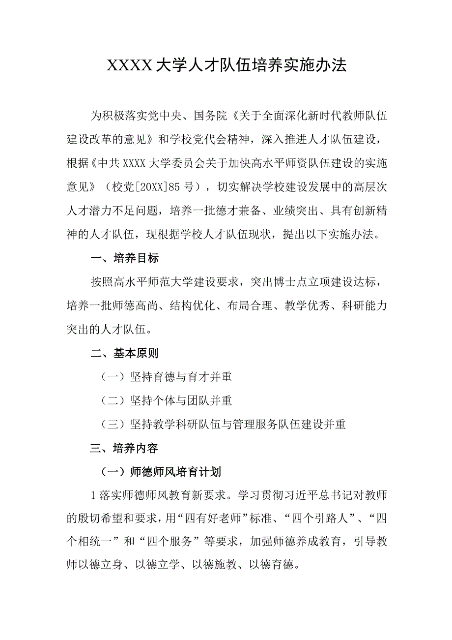 大学人才队伍培养实施办法.docx_第1页