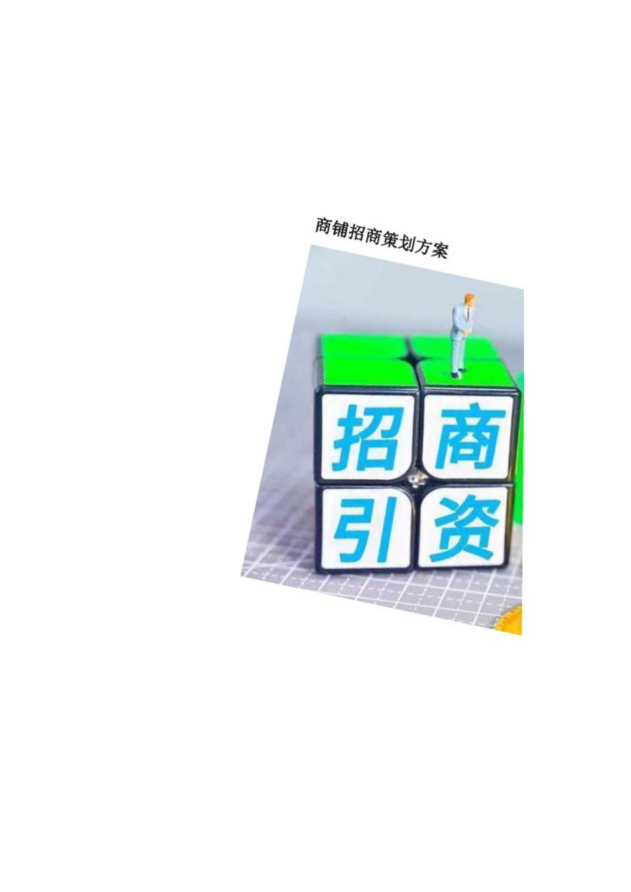 商铺招商策划方案.docx_第2页