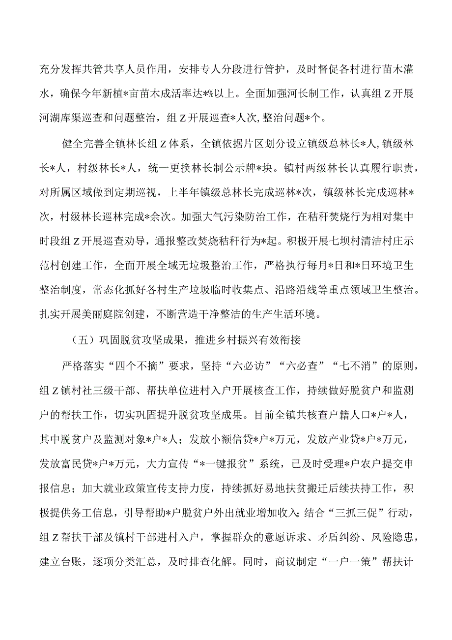 半年乡镇乡村振兴工作总结.docx_第3页