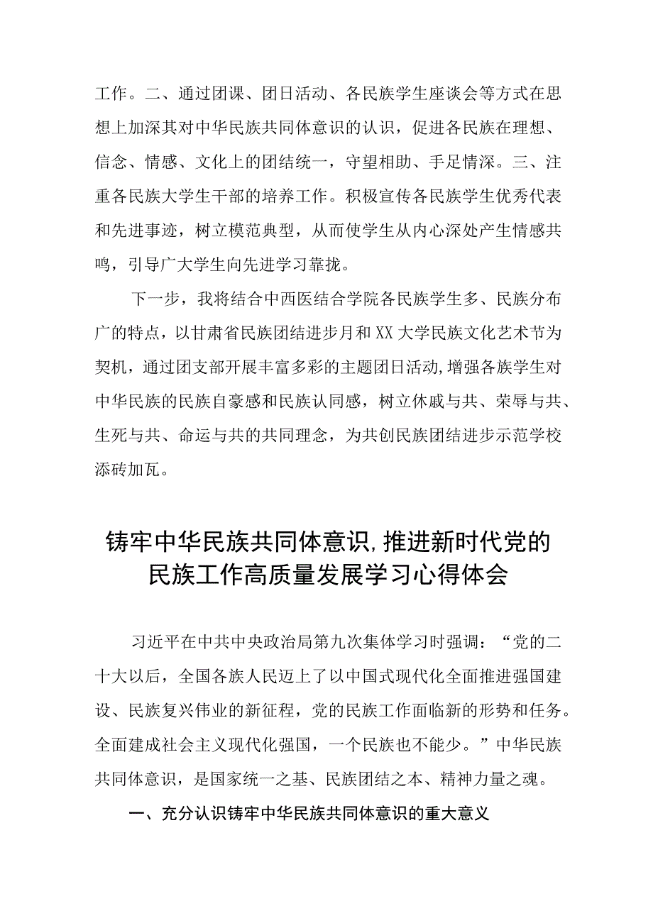 学习《铸牢中华民族共同体意识,推进新时代党的民族工作高质量发展》的心得感悟(十一篇).docx_第2页