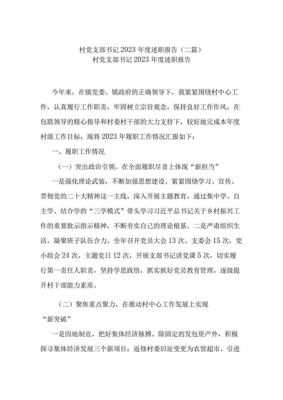 村党支部书记2023年度述职报告(二篇).docx_第1页