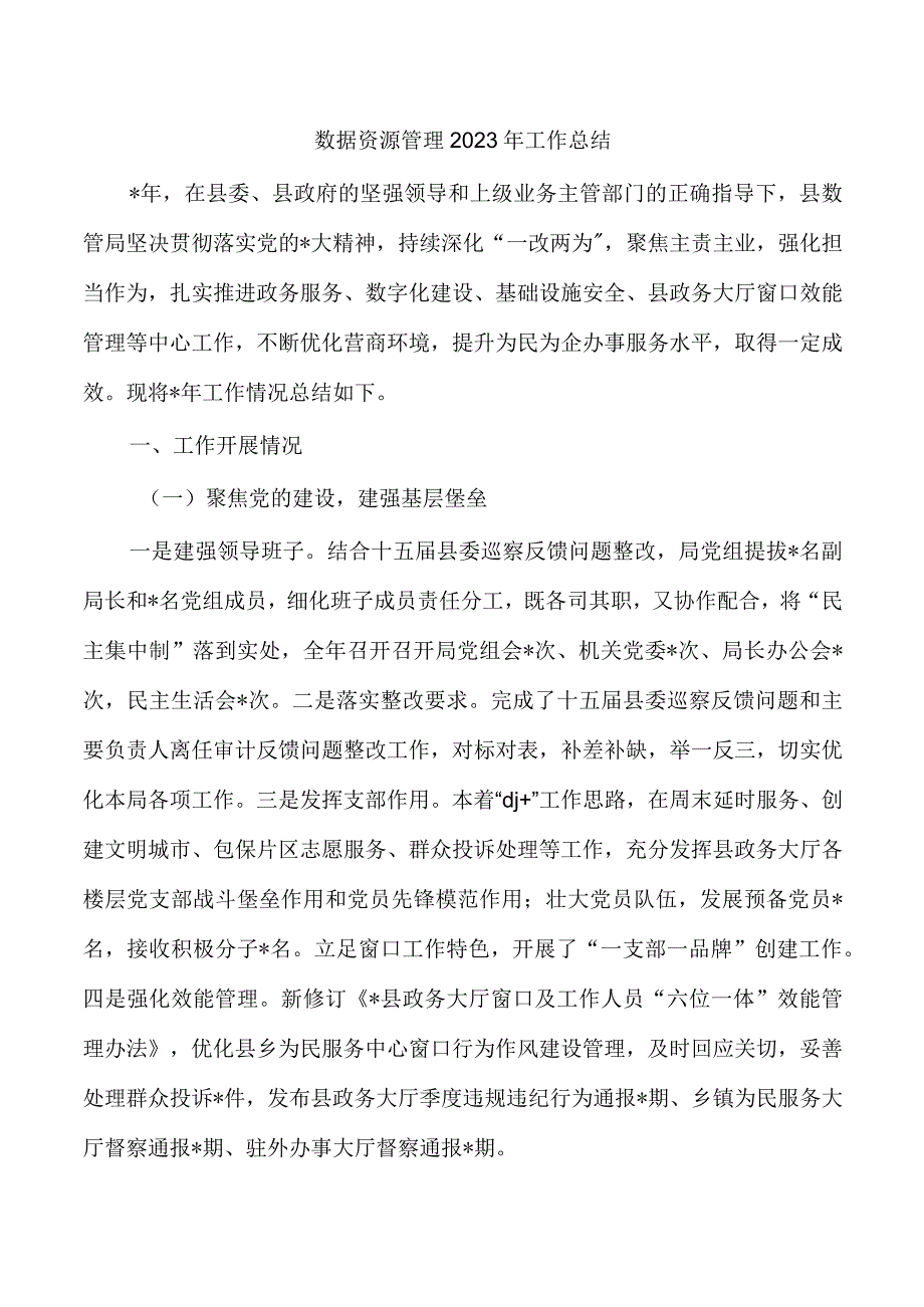 数据资源管理2023年工作总结.docx_第1页