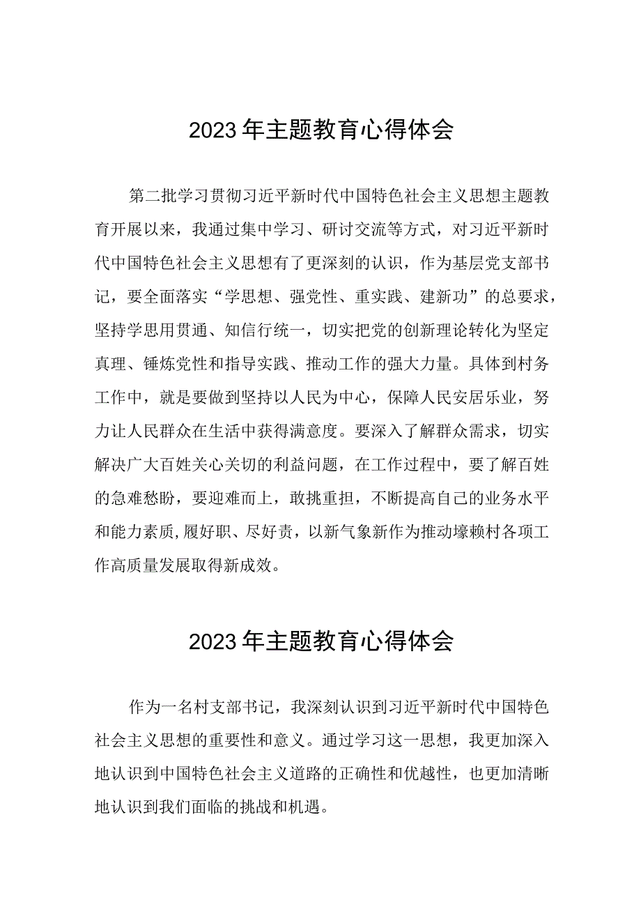 村长2023年第二批主题教育学习心得体会(九篇).docx_第1页