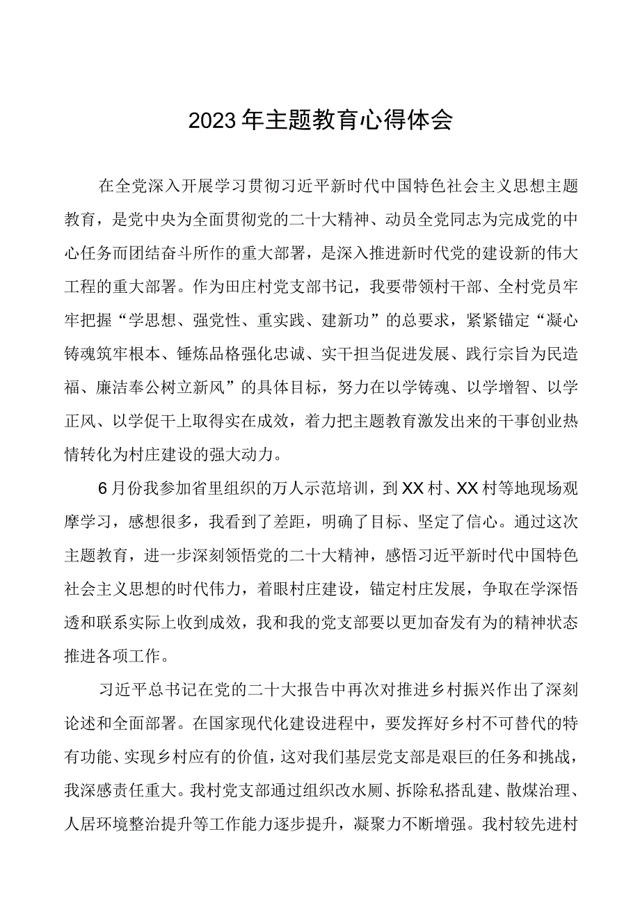 村支部书记关于2023年第二批主题教育心得体会(九篇).docx_第1页