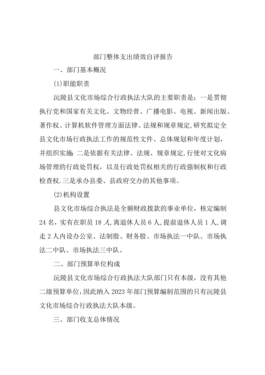 部门整体支出绩效自评报告.docx_第1页