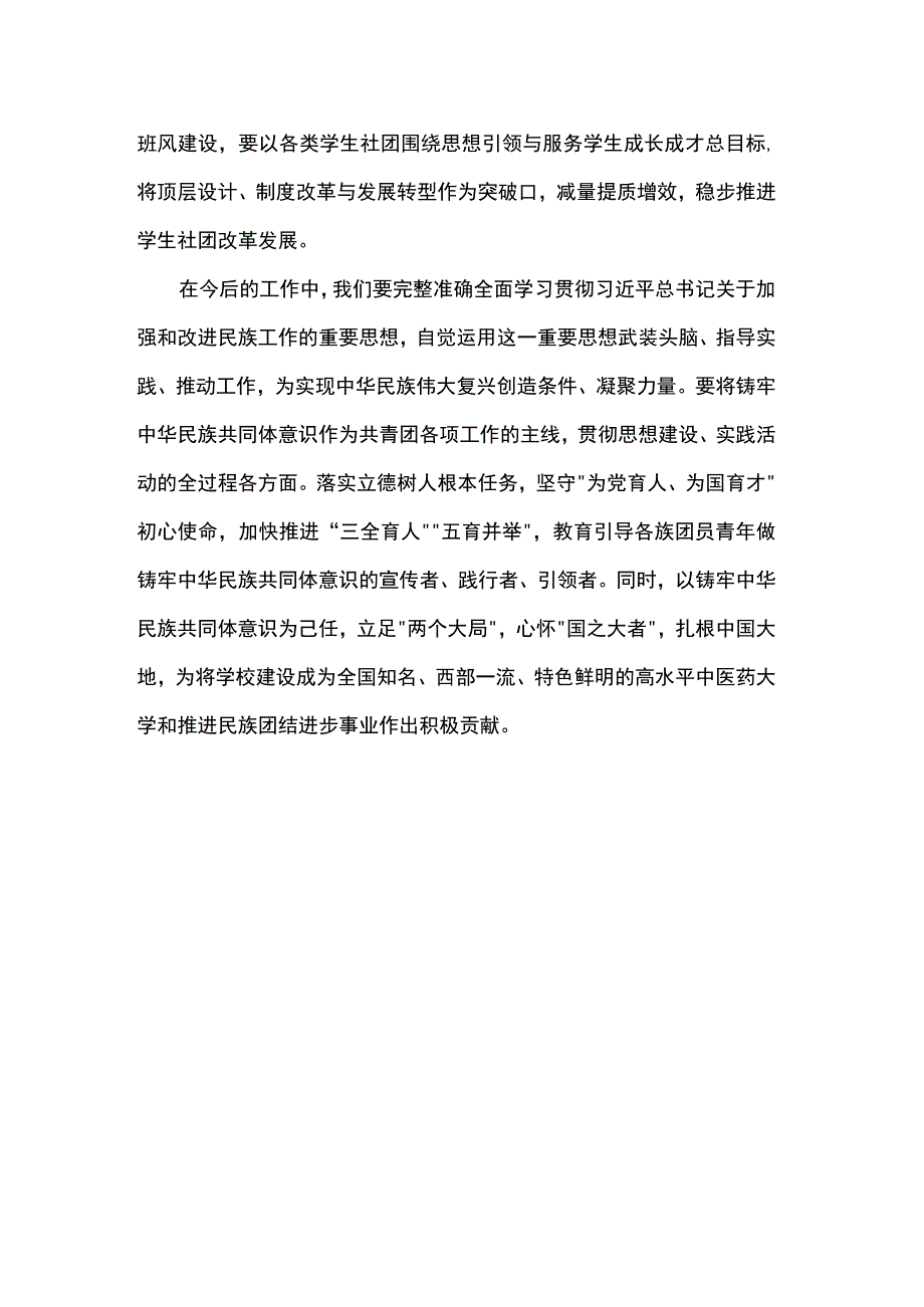 民族工作心得体会：铸牢中华民族共同体意识 推进共青团工作行稳致远.docx_第3页