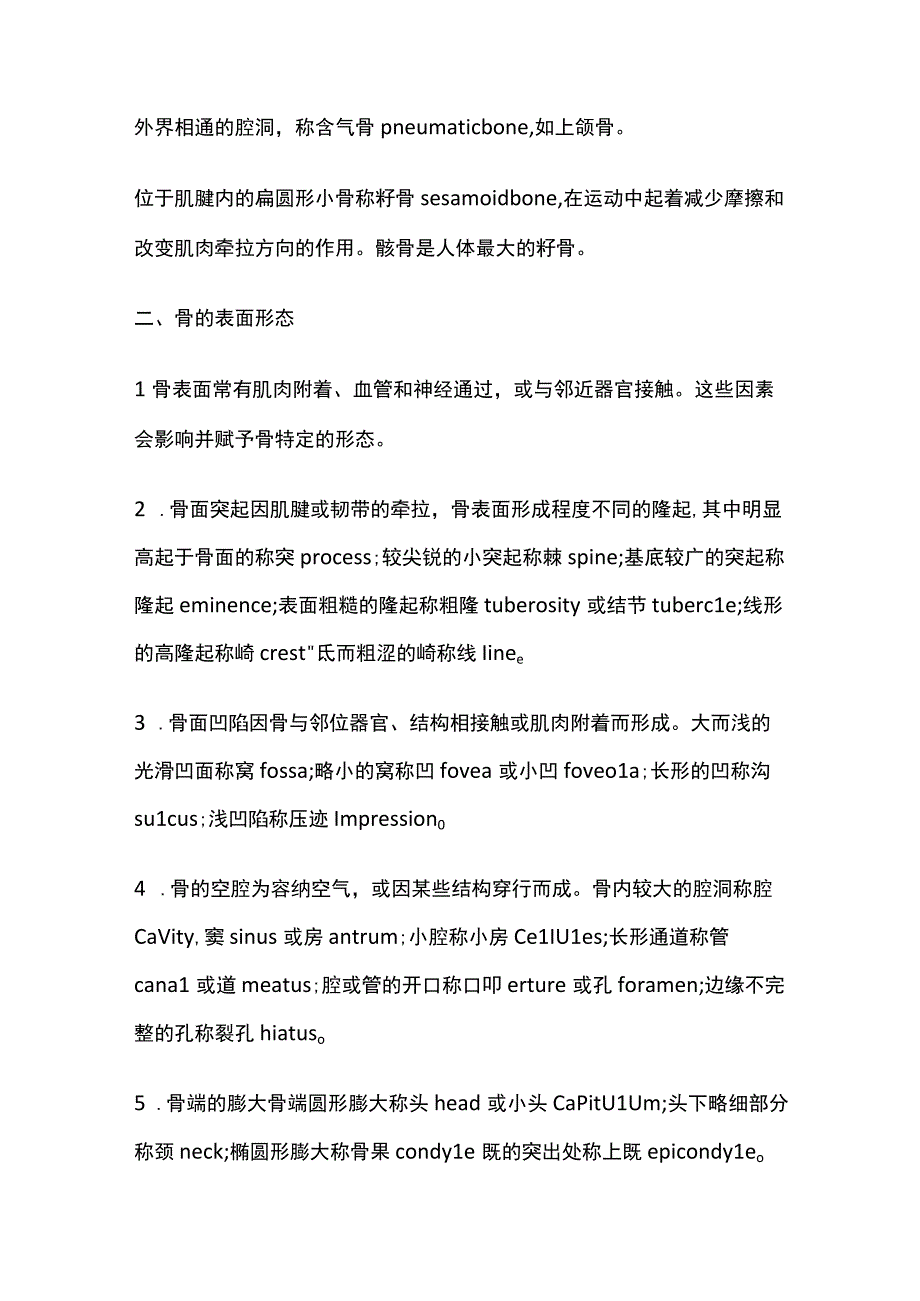 骨学知识点汇总.docx_第3页