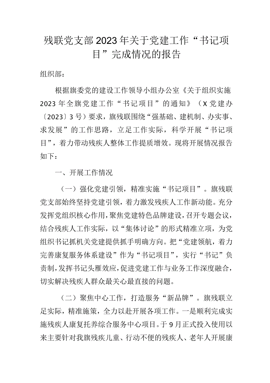 残联党支部2023年关于党建工作“书记项目”完成情况的报告.docx_第1页