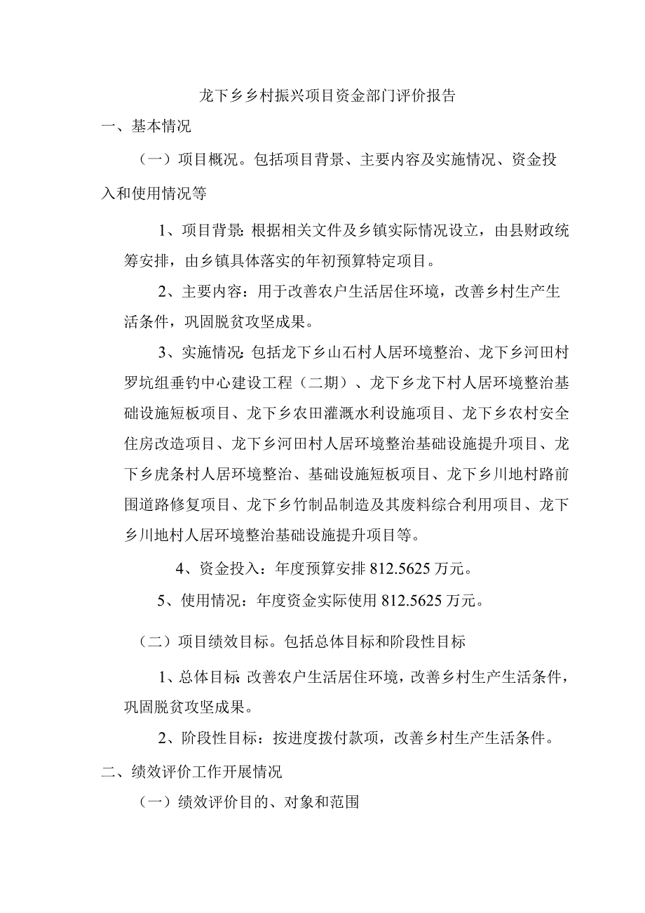 龙下乡乡村振兴项目资金部门评价报告.docx_第1页