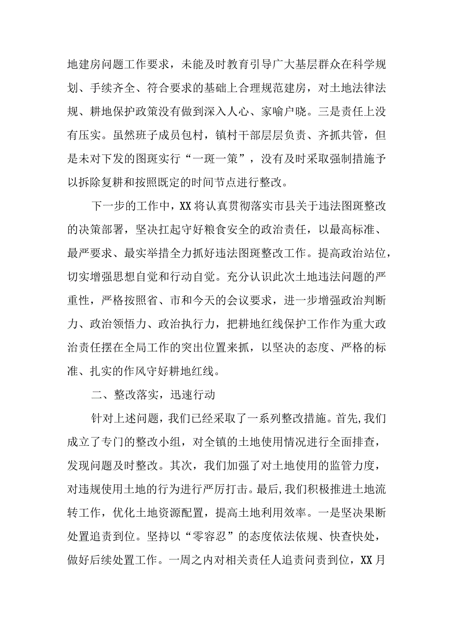 某镇党委书记违法占耕整改表态发言.docx_第2页