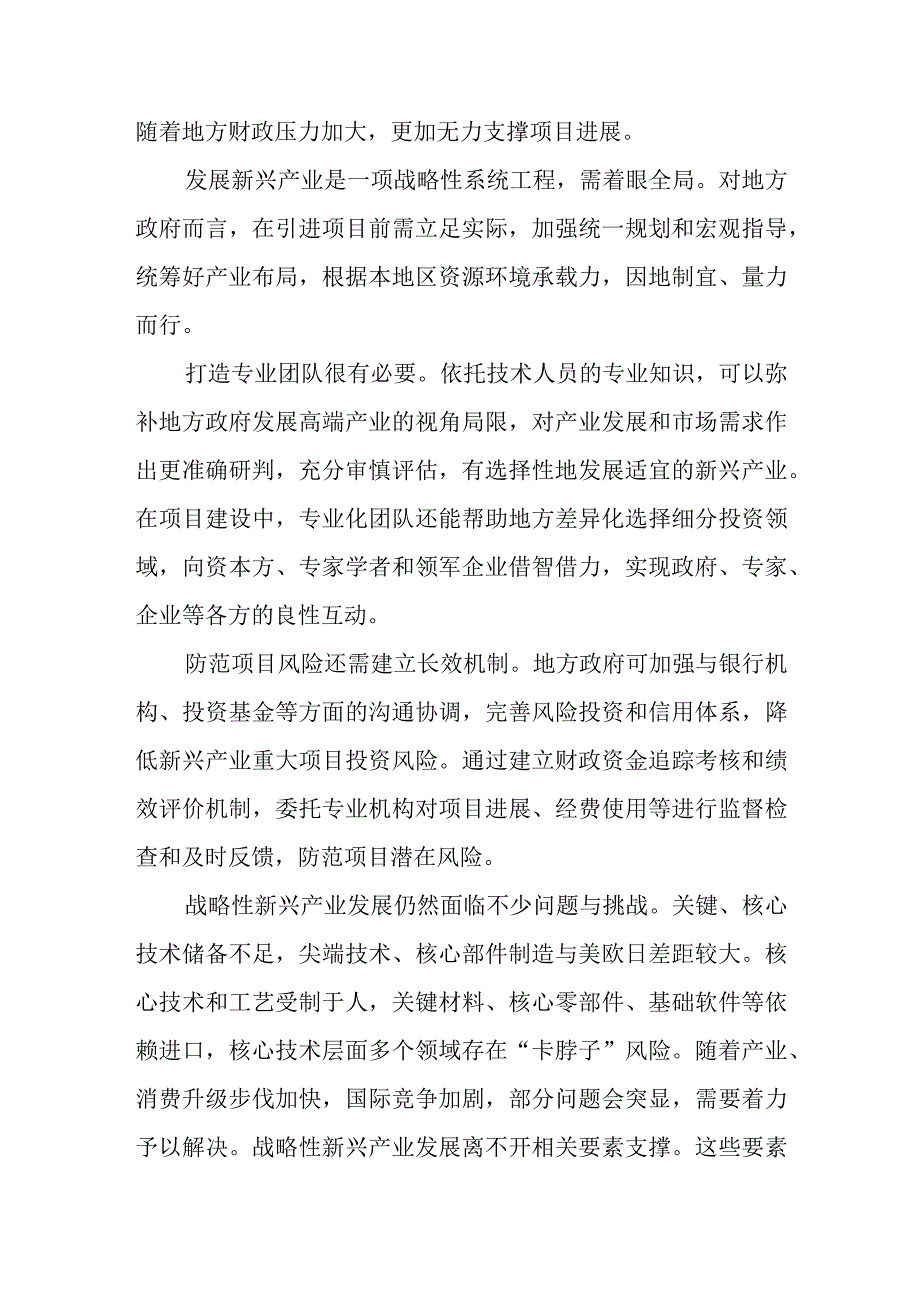 防患布局新兴产业风险心得体会座谈发言.docx_第2页