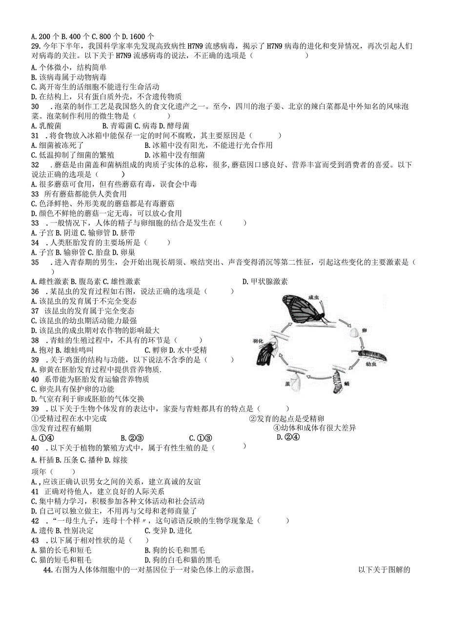 广东省珠海市香洲区八年级期末考题（无答案）.docx_第3页