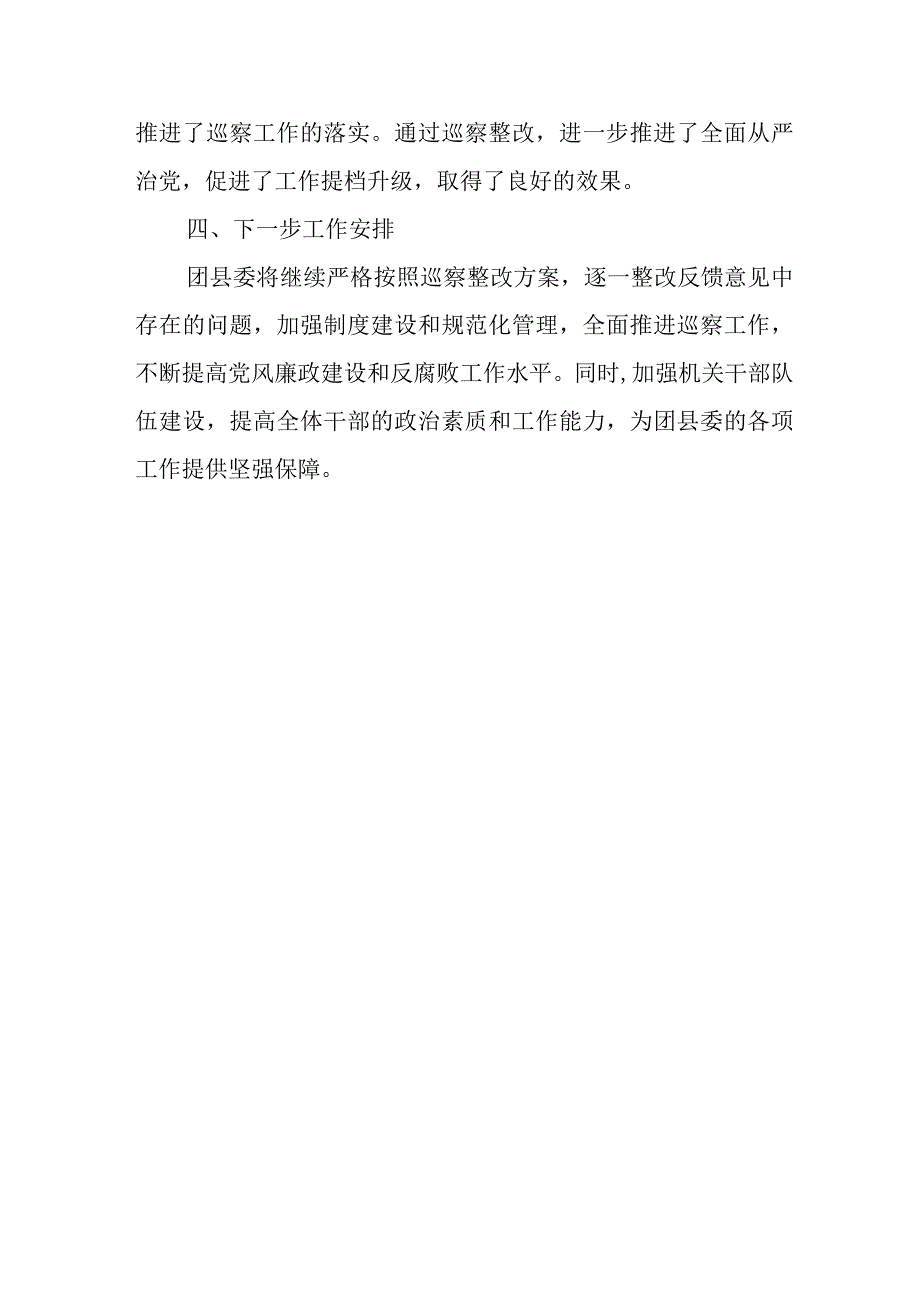 团县委巡察反馈问题整改情况报告.docx_第3页