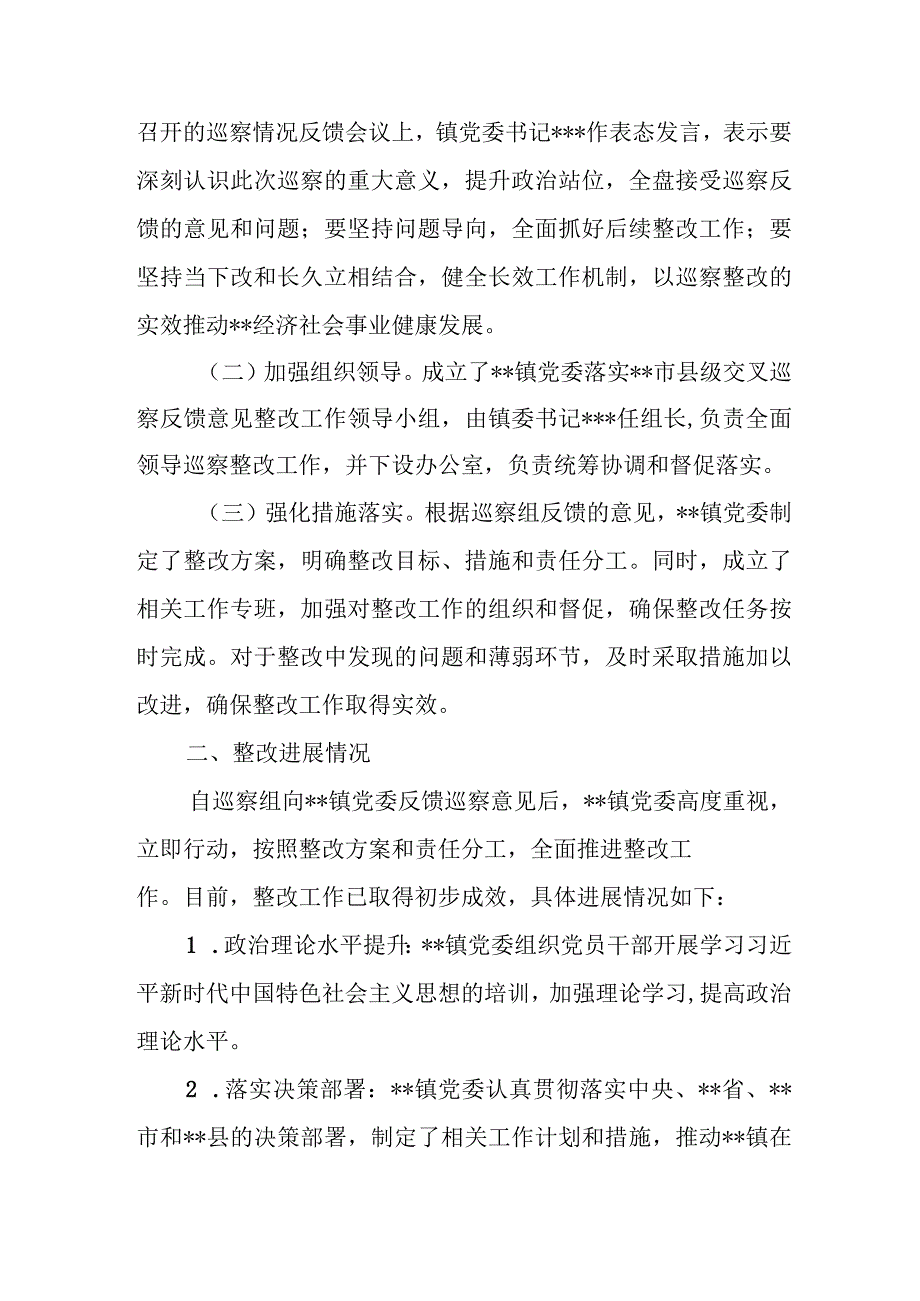 某乡镇党委关于落实巡察整改情况报告.docx_第3页