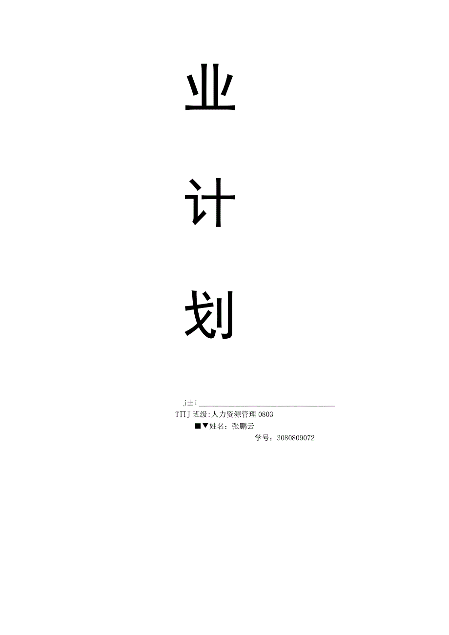 某公司创业计划书执行概要.docx_第1页