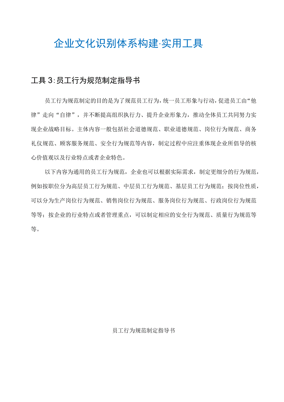 员工行为规范制定指导书.docx_第2页