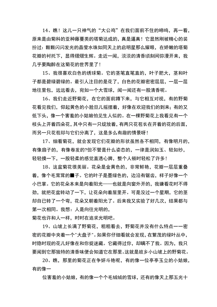 描写菊花颜色段落.docx_第3页