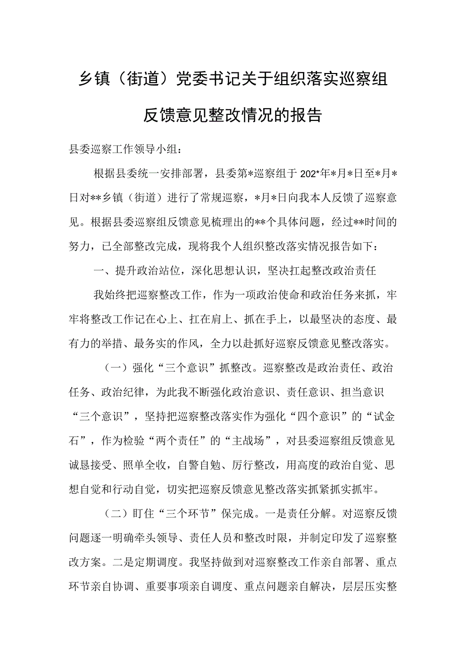 村党支部召开巡视整改专题组织生活会情况报告.docx_第3页