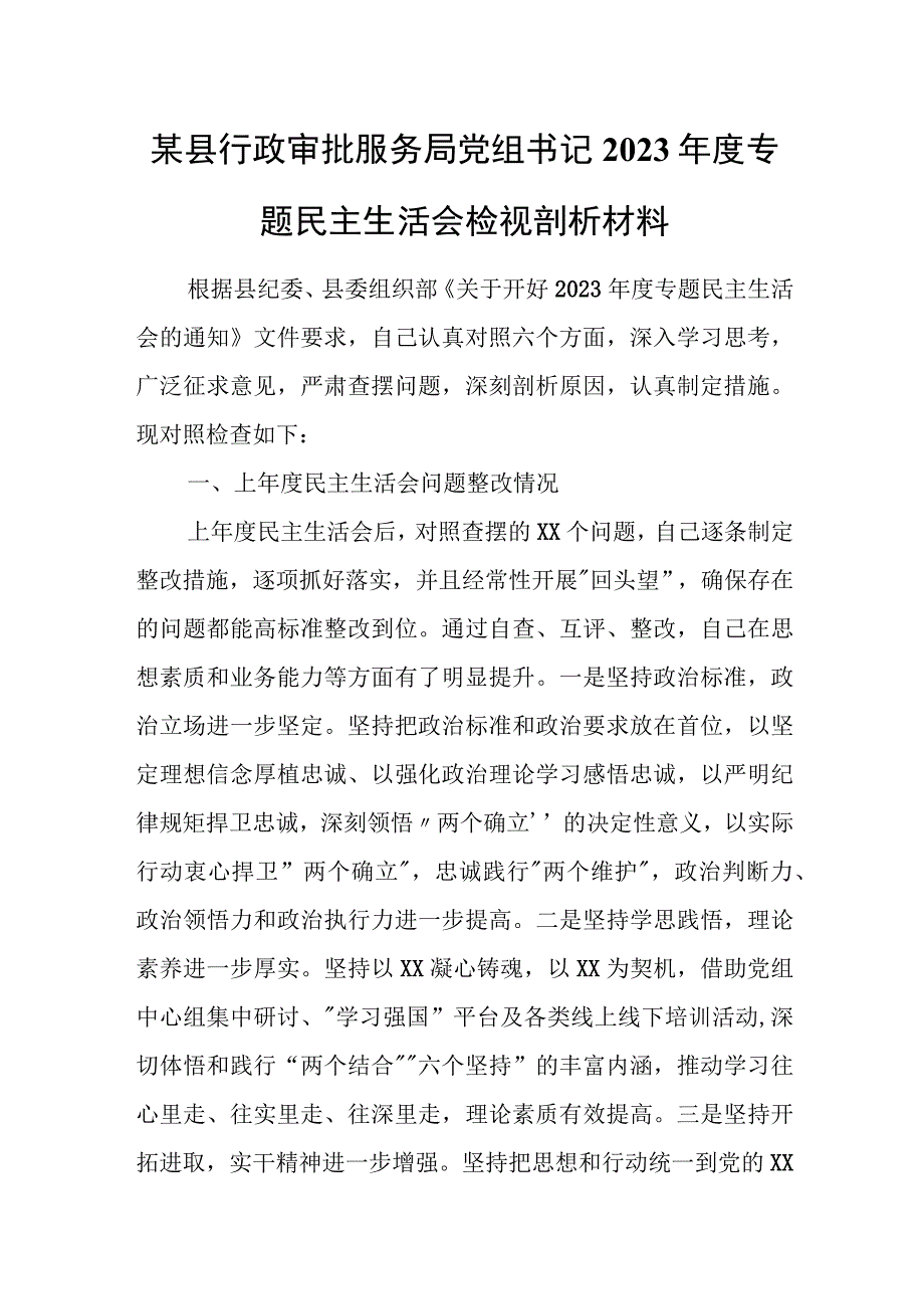 某县行政审批服务局党组书记2023年度专题民主生活会检视剖析材料.docx_第1页