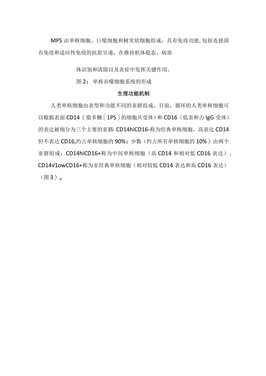 血常规中的单核细胞来源、临床意义、生理功能机制及形态学特点.docx_第2页