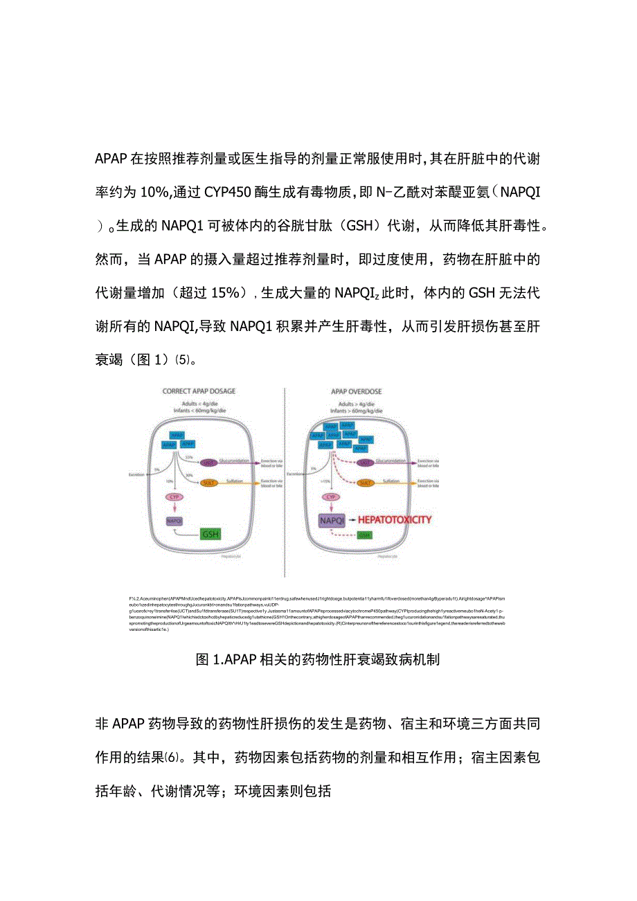 药物性肝衰竭的诊治进展2023.docx_第2页