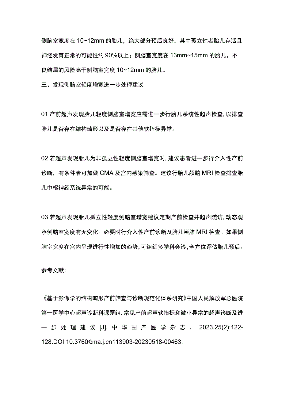 胎儿轻度侧脑室增宽2024.docx_第2页