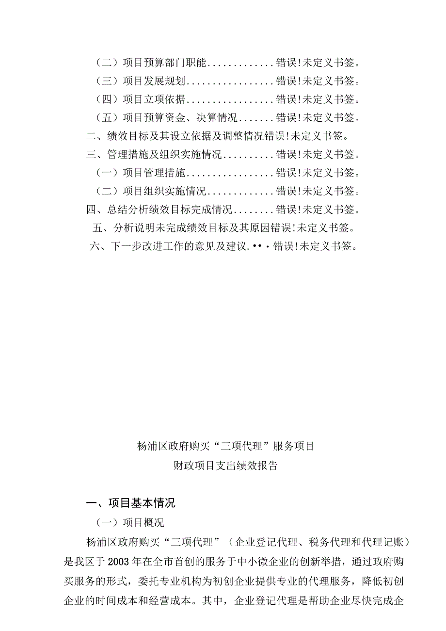 财政项目支出绩效报告.docx_第2页