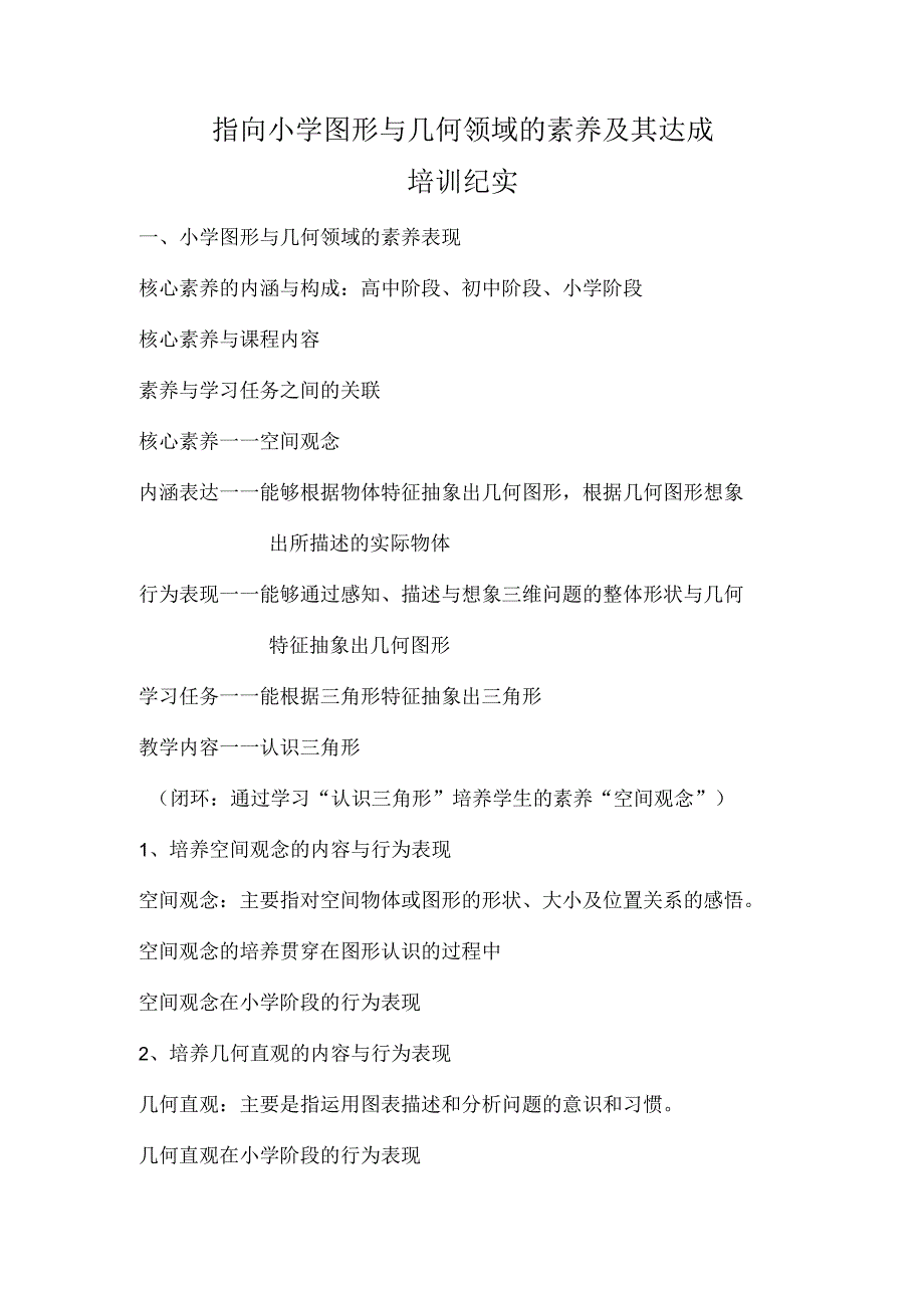 2022年11月“指向小学图形与几何领域素养及其达成”培训纪实.docx_第1页