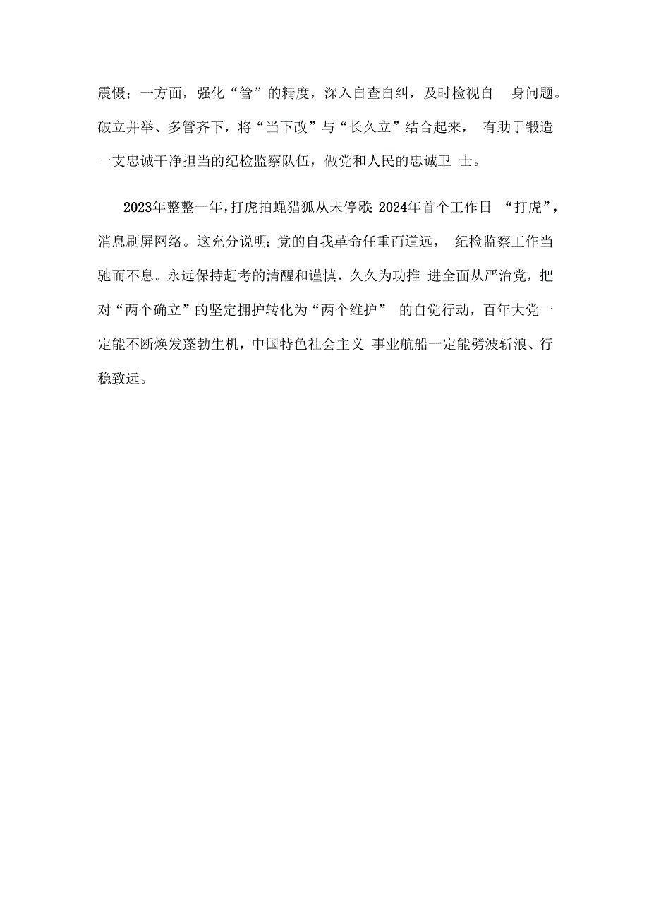 2023年纪检监察工作高质量发展心得体会.docx_第3页