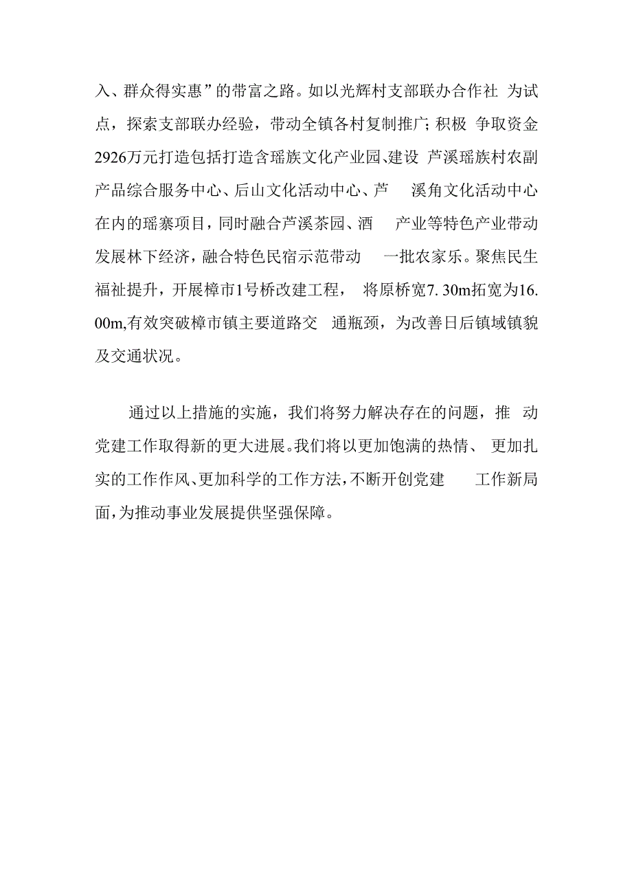 2024党建工作计划.docx_第3页