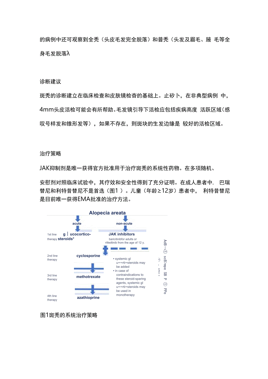 2024欧洲皮肤病学和性病学学会：斑秃系统治疗综述.docx_第2页