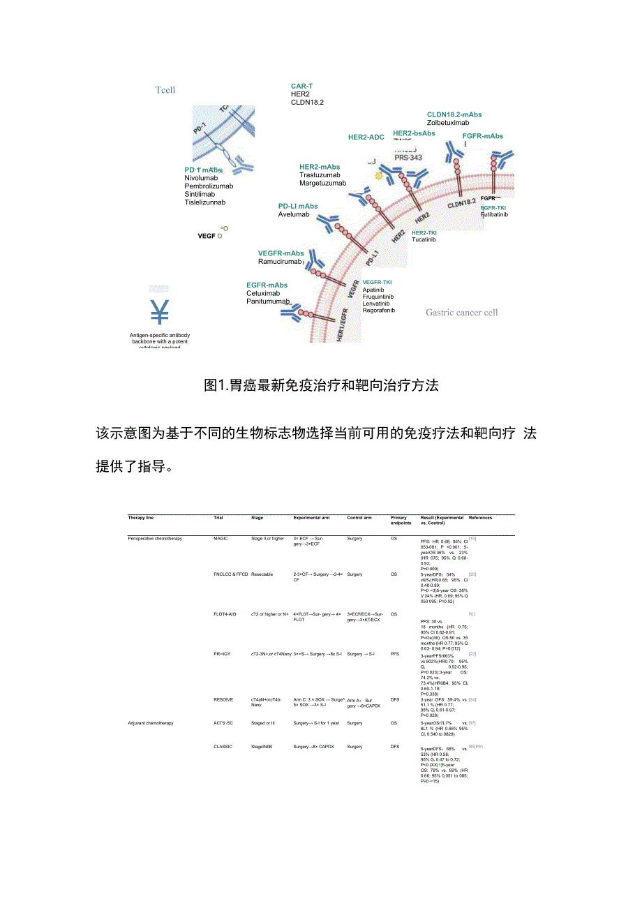 2024胃癌治疗近期进展和展望.docx_第3页