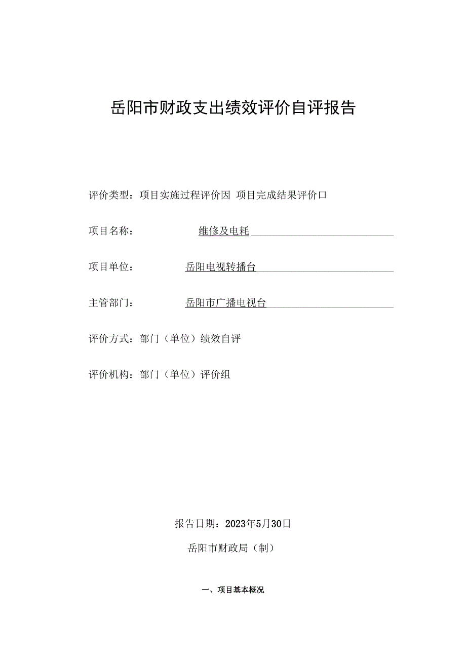 岳阳市财政支出绩效评价自评报告(1).docx_第1页