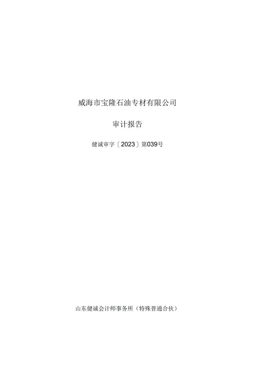 山东墨龙：威海市宝隆石油专材有限公司审计报告.docx_第1页