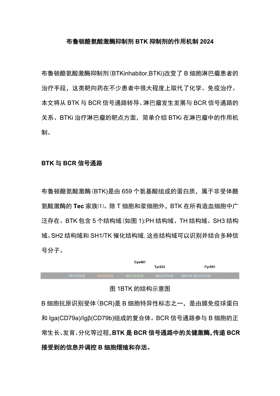 布鲁顿酪氨酸激酶抑制剂BTK抑制剂的作用机制2024.docx_第1页