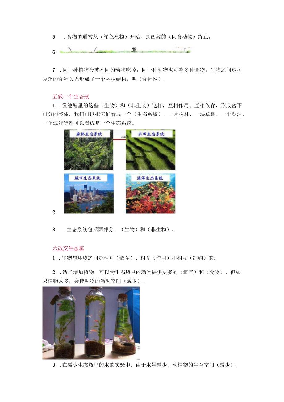 教科版科学五年级上册期末复习知识点精编.docx_第3页