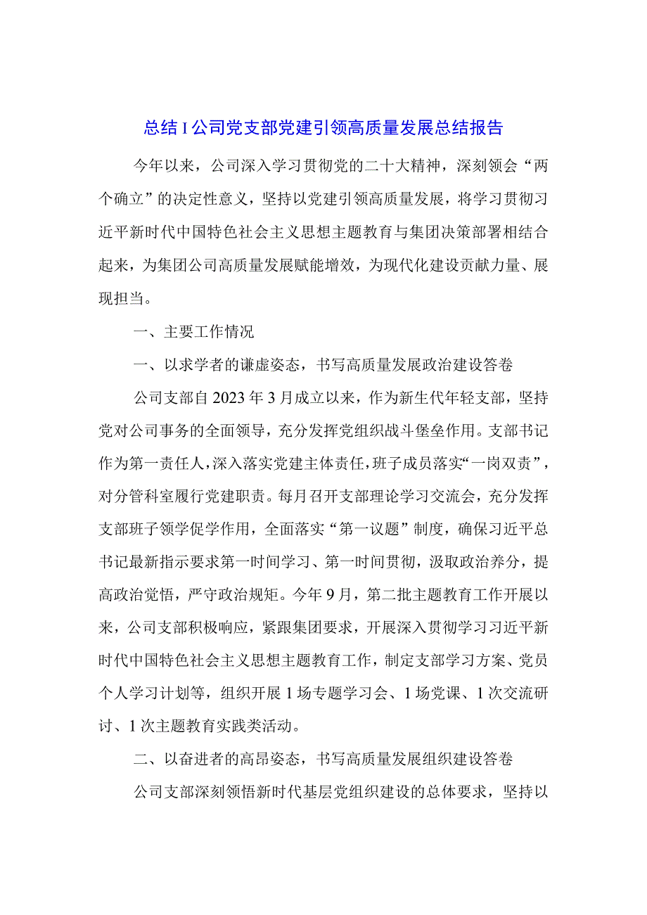 总结：公司党支部党建引领高质量发展总结报告.docx_第1页