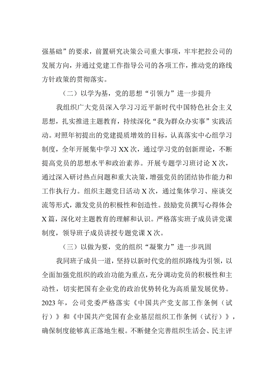 总结： 公司党委书记抓基层党建工作述职报告.docx_第2页