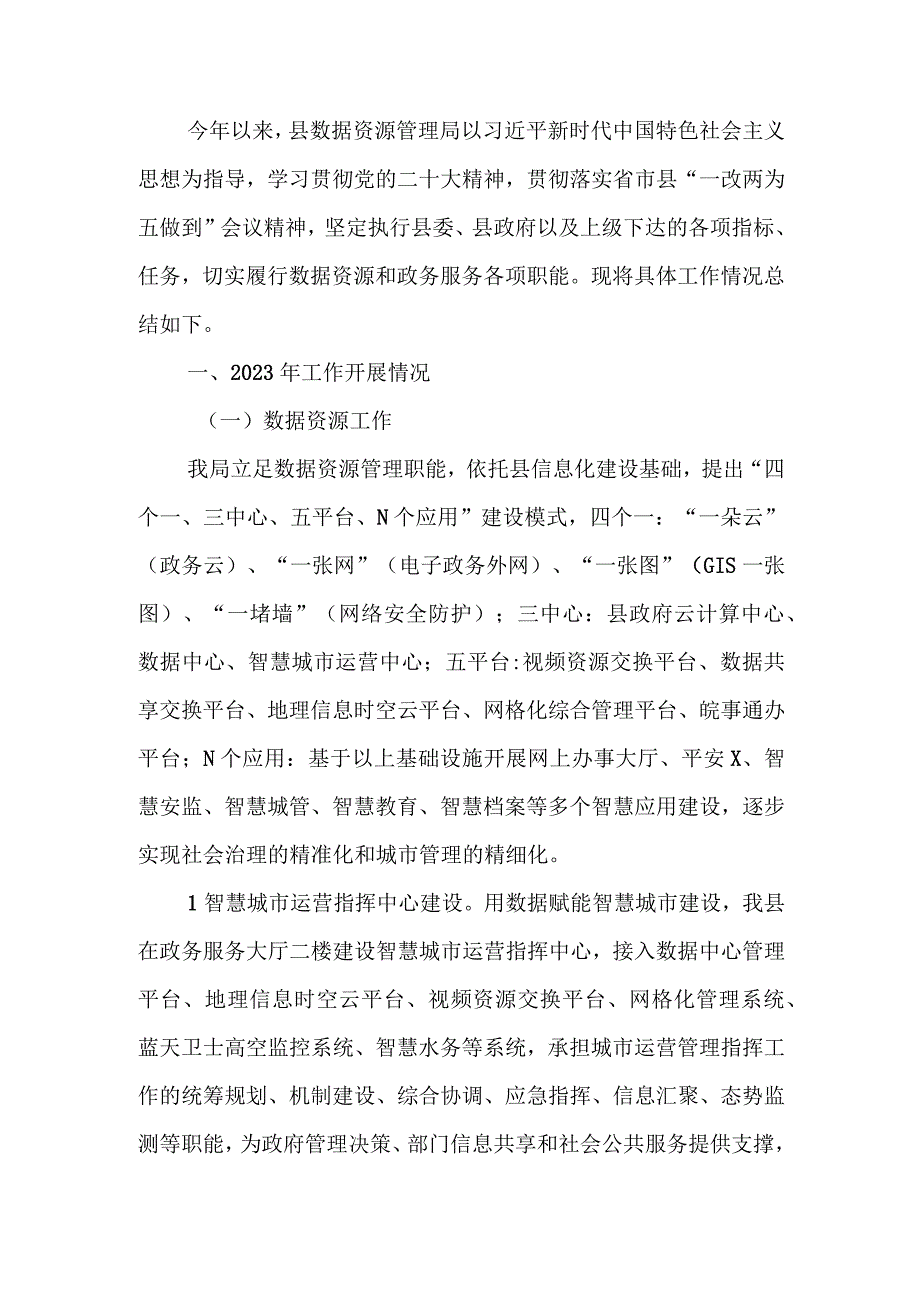 数据资源管理局2023年工作总结和2024年工作计划.docx_第1页