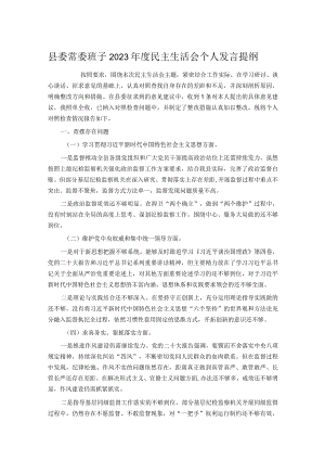 县委常委班子2023年度民主生活会个人发言提纲.docx