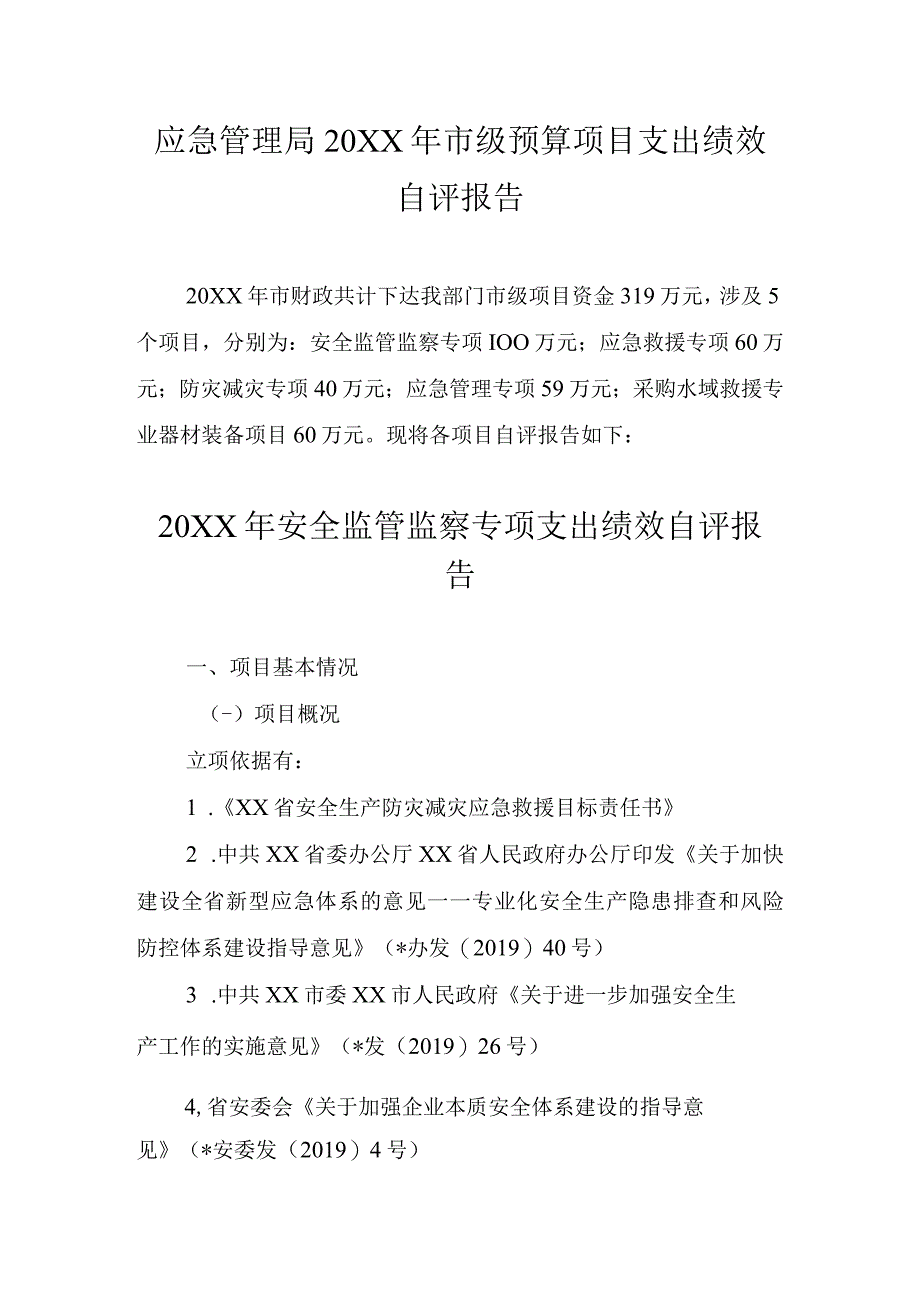 应急管理局20XX年市级预算项目支出绩效自评报告.docx_第1页