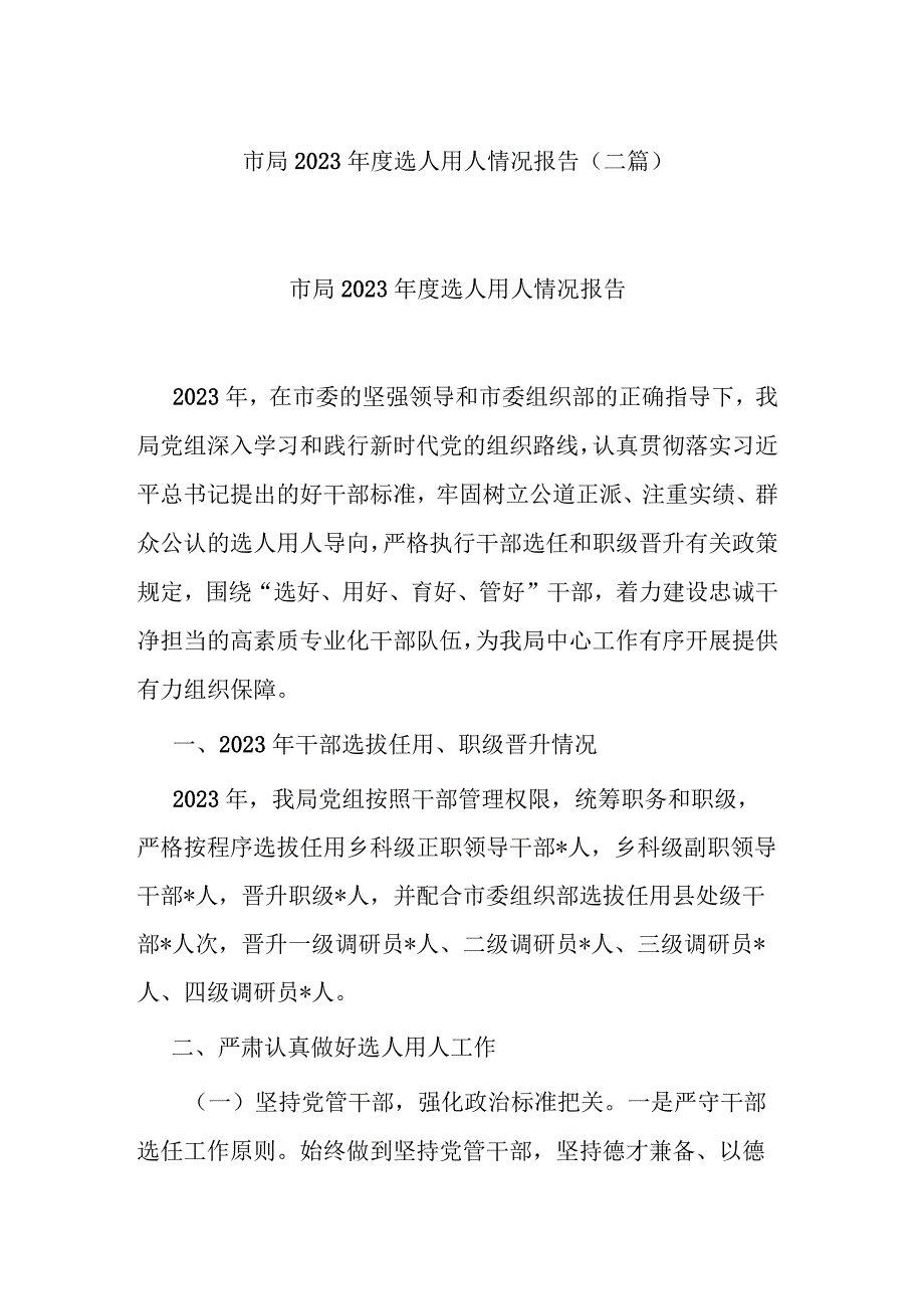 市局2023年度选人用人情况报告(二篇).docx_第1页