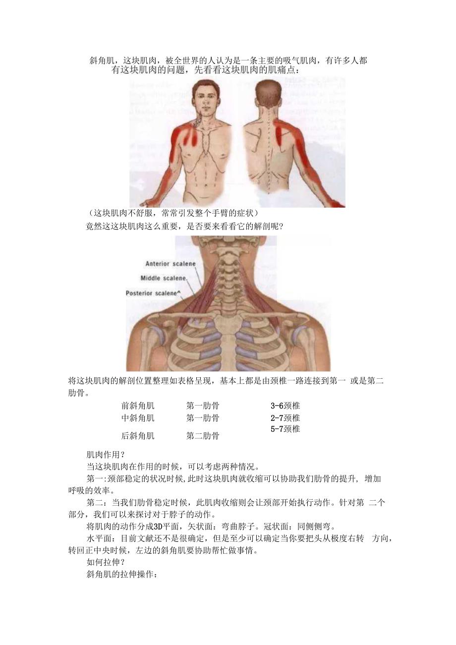 (课件)斜角肌功能详解.docx_第1页