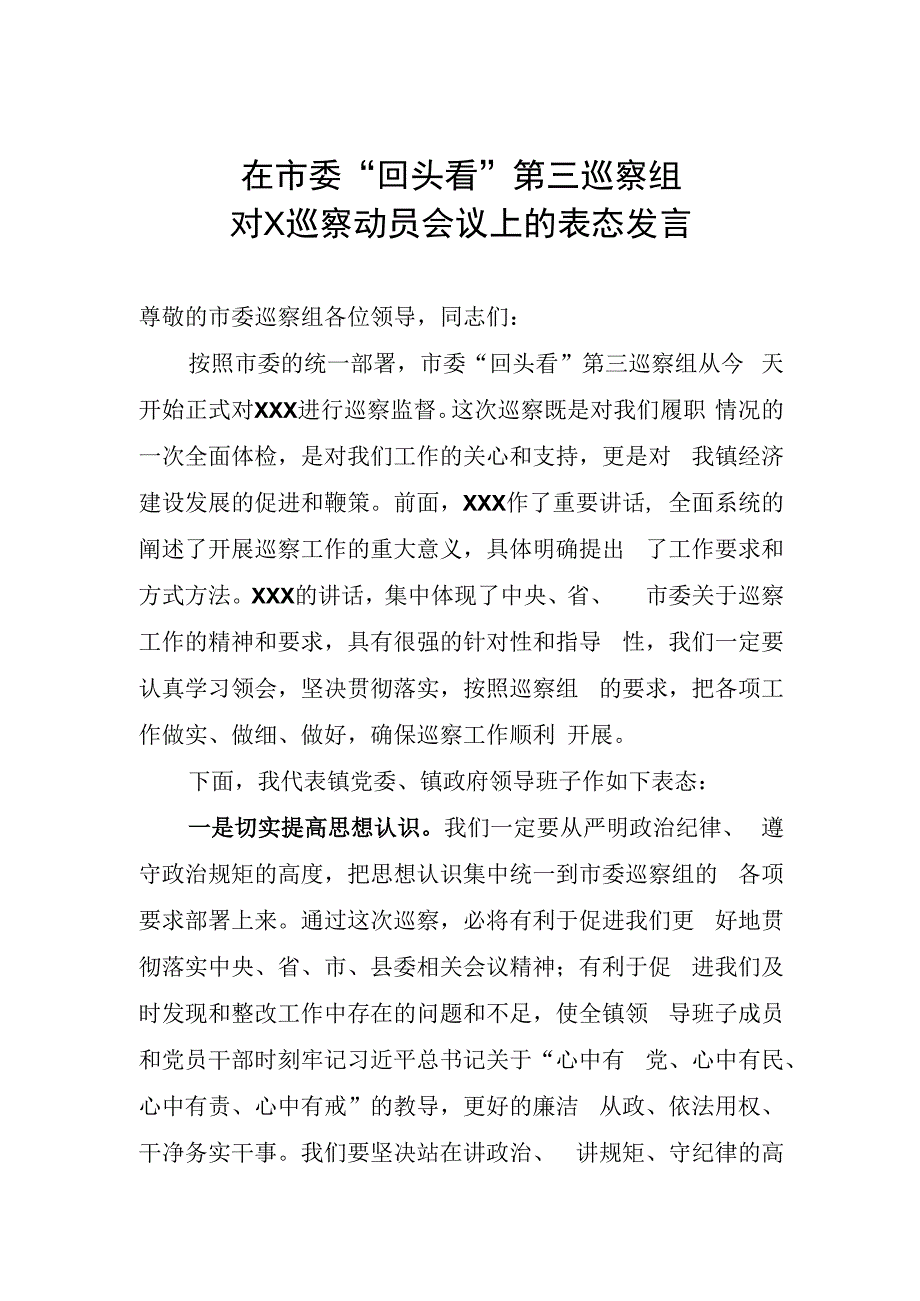 在市委“回头看”第三巡察组的表态发言.docx_第1页